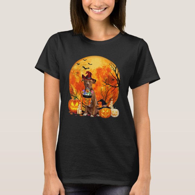 T-shirt Pitbull Dog Witch Pumpkin Halloween Costume (Devant)