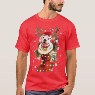 T-shirt Pitbull Noël Boot Sock hiver neige