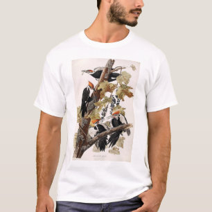 T-shirt Pivert de Pileated