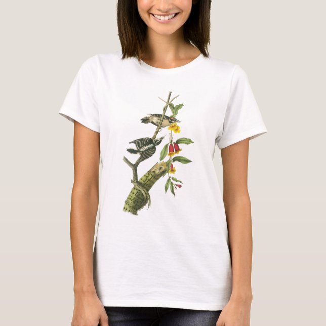 T-shirt Pivert duveteux par Audubon (Devant)