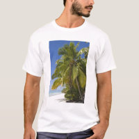 Plage de One Foot Island, Aitutaki, Îles Cook