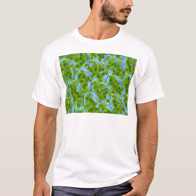 T-shirt Plagiomnium affinent des cellules de plante avec (Devant)