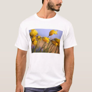 T-shirt Plan rapproché des jonquilles