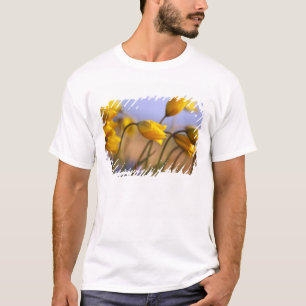 T-shirt Plan rapproché des jonquilles