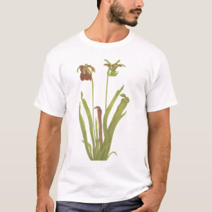 T-shirt Plante carnivore - rubra de Sarracenia