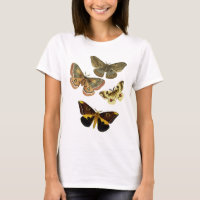 Plaque de papillon 4