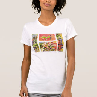 T-shirt Plaza t du Honduras