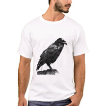 Pluie Whispers, La Sagesse de Corbeau