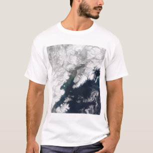 T-shirt Plume de cendre de redoute de bâti, Alaska