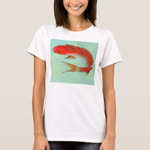 T-shirt POISSON JAPONAIS PLUS TAILLE YOGA PORTER