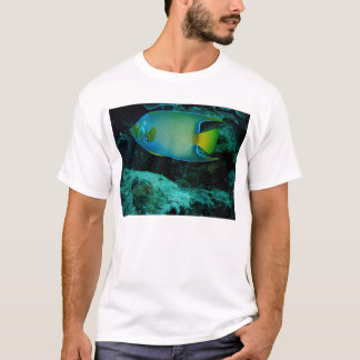 T-shirt Poissons d'ange de la Reine