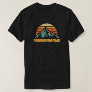 T-shirt Polemonium Peak Californie Turquoise Rétro