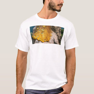 T-shirt polygonien