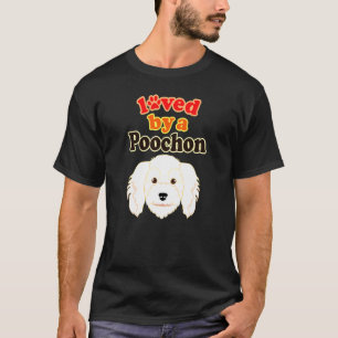 T-shirt Poodle Bichon