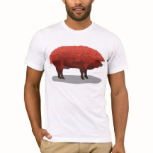 Porc de Mangalitsa