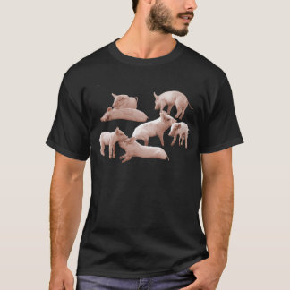 T-shirt porcelets, porc,