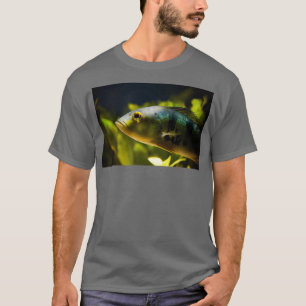 T-shirt Portrait de poisson rayé de l'aquarium