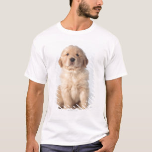 T-shirt Portrait de vieux chiot de six semaines de golden