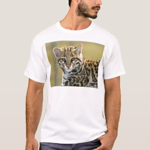 T-shirt Portrait d'Ocelot