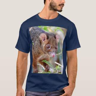 T-shirt Possum aux lagunes d'Arkarra cadeau