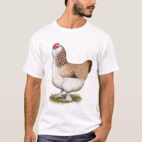 Poule saumonée de Faverolle
