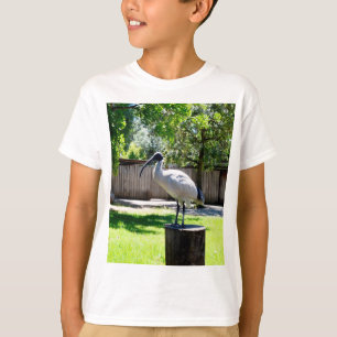 T-shirt Poulet À Bin (ibis) Sur Une Pompe D'Arbre,