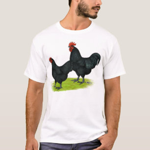 T-shirt Poulets noirs d'Australorp