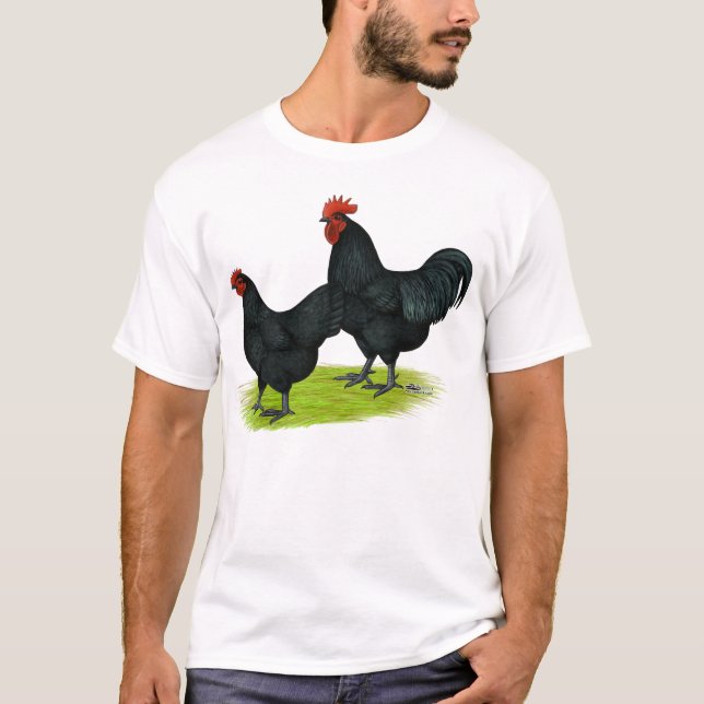 T-shirt Poulets noirs d'Australorp (Devant)