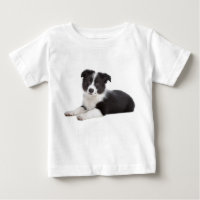 Amour Bordure Collie Chien Chien Chien Chien Chien