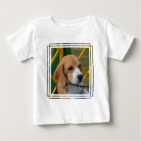 Beagle aimable