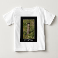 Cadeaux de marmottes à ventre jaune