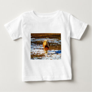 T-shirt Pour Bébé Cheval miniature Brown et crème dans la neige.