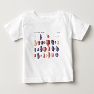 T-shirt Pour Bébé Copie botanique de pomme de terre vintage