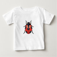 Le football de coccinelle