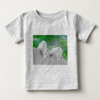 Ours polaires, oursons et feux nord