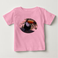 Toucan