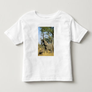 T-shirt Pour Les Tous Petits Afrique, Botswana, Delta de l'Okavango. Africain 2