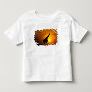 T-shirt Pour Les Tous Petits Afrique, Kenya, Masai Mara. Girafe (Giraffa