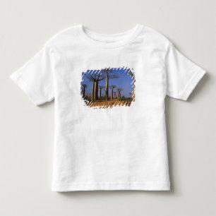 T-shirt Pour Les Tous Petits Afrique, Madagascar, Morondava, Avenue des Baobabs