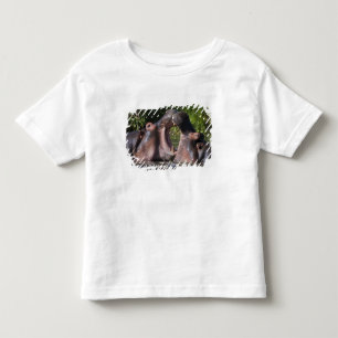 T-shirt Pour Les Tous Petits Afrique. Tanzanie. Hippopotame s'entraînant