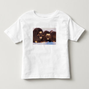T-shirt Pour Les Tous Petits Amérique du Nord, États-Unis, Alaska, Cercle Arcti