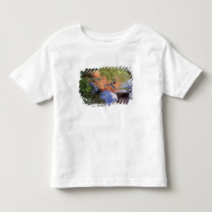 T-shirt Pour Les Tous Petits Amérique du Nord, États-Unis, Arizona, Canyon Hava
