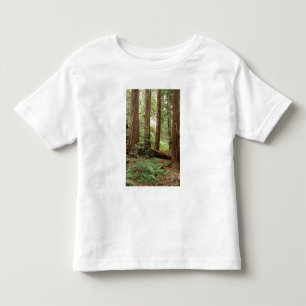 T-shirt Pour Les Tous Petits Amérique du Nord, États-Unis, Californie, Big Sur,