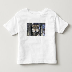 T-shirt Pour Les Tous Petits Amérique du Nord, États-Unis, Minnesota. Loup Cani