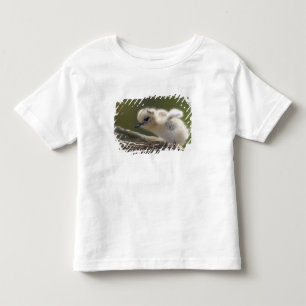T-shirt Pour Les Tous Petits Amérique du Nord, îles hawaïennes du Nord-Ouest, 2