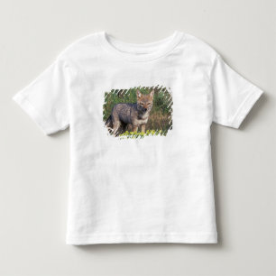 T-shirt Pour Les Tous Petits Amérique du Sud, Chili, Torres del Paine NP,