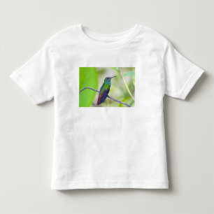 T-shirt Pour Les Tous Petits Amérique du Sud, Costa Rica, Sarapiqui, La Selva