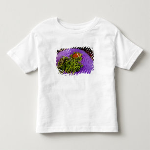 T-shirt Pour Les Tous Petits Anemonefish et grande anémone