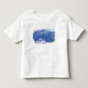 T-shirt Pour Les Tous Petits Antarctique, baie du Paradis, formes de vagues mas