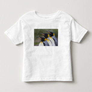 T-shirt Pour Les Tous Petits Antarctique, île de Géorgie du Sud Royaume-Uni), r